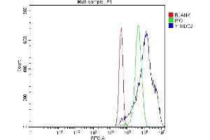Flow Cytometry analysis of MCF-7 cells using anti-YTHDC2 antibody (ABIN7599661). (YTHDC2 抗体  (AA 105-1231))
