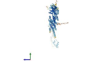 Protein Structure (PS) image for Conserved oligomeric Golgi complex subunit 2 (COG2) (AA 1-731) protein (His tag) (ABIN7560197)