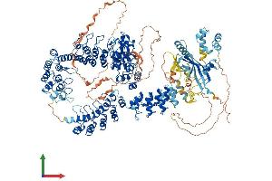 Protein Structure (PS) image for Tankyrase, TRF1-Interacting Ankyrin-Related ADP-Ribose Polymerase (TNKS) (AA 1-1327) protein (His tag) (ABIN7555777)