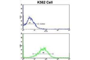 Flow Cytometry (FACS) image for anti-Secreted Frizzled-Related Protein 5 (SFRP5) antibody (ABIN3002916) (SFRP5 抗体)
