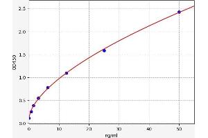 Typical standard curve (CNN2 ELISA 试剂盒)