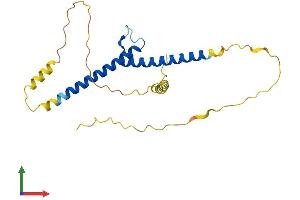 AlphaFold protein structure predicition of Mouse Recombinant Bhlhe23 Protein, UniprotID Q8BGW3