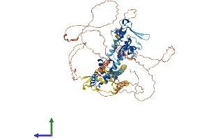 AlphaFold protein structure predicition of Human Recombinant JADE2 Protein, UniprotID Q9NQC1