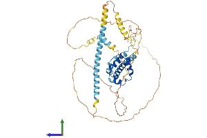 Protein Structure (PS) image for BSD Domain Containing 1 (BSDC1) (AA 1-430) protein (His tag) (ABIN7552709)