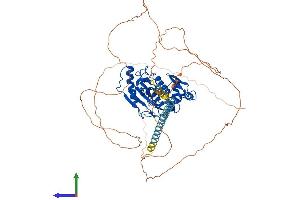 Protein Structure (PS) image for SUMO1/sentrin Specific Peptidase 1 (SENP1) (AA 1-640) protein (His tag) (ABIN7563472)