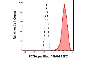 Separation of K562 cells stained using anti-PCNA (PC10) purified antibody (concentration in sample 4 μg/mL, GAM FITC, red-filled) from K562 cells unstained by primary antibody (GAM FITC, black-dashed) in flow cytometry analysis (intracellular staining). (PCNA 抗体)