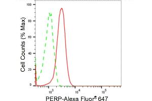 Flow cytometric analysis of PERP expression in Hela cells using PERP antibody (ABIN7800577), 1:2,000). (Recombinant PERP 抗体)