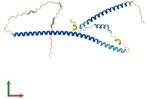 Protein Structure (PS) image for Slow Skeletal Troponin T (TNNT1) (AA 1-278) protein (His tag) (ABIN7544614)