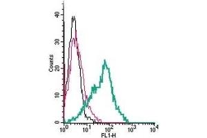 Cell surface detection of NrCAM by indirect flow cytometry in live intact human MEG-01 megakaryocytic leukemia cells:  (black line) Cells. (NrCAM 抗体  (Extracellular, N-Term))