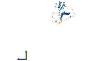 AlphaFold protein structure predicition of Human Recombinant IFT57 Protein, UniprotID Q9NWB7