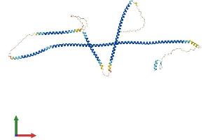 Protein Structure (PS) image for Optineurin (OPTN) (AA 1-584) protein (His tag) (ABIN7564654)