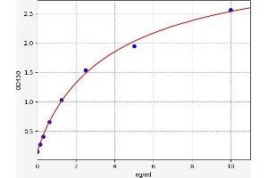Typical standard curve (Trypsinogen Activation Peptide ELISA 试剂盒)