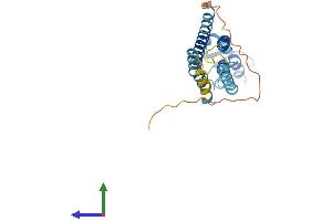 Protein Structure (PS) image for Gap Junction Protein, beta 4, 30.3kDa (GJB4) (AA 1-266) protein (His tag) (ABIN7546824)