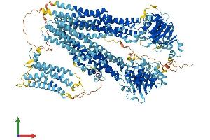 Protein Structure (PS) image for ATP-Binding Cassette, Sub-Family C (CFTR/MRP), Member 10 (ABCC10) (AA 1-1492) protein (His tag) (ABIN7554625)