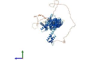 Protein Structure (PS) image for Cullin 4B (CUL4B) (AA 1-913) protein (His tag) (ABIN7553577)