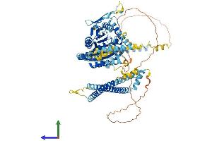 Protein Structure (PS) image for Kinesin Family Member 9 (KIF9) (AA 1-790) protein (His tag) (ABIN7556296)