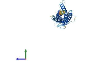 Protein Structure (PS) image for Claudin 22 (CLDN22) (AA 1-220) protein (His tag) (ABIN7546612)