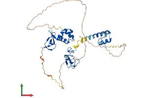 Protein Structure (PS) image for Ring Finger Protein 34 (RNF34) (AA 1-372) protein (His tag) (ABIN7555249)