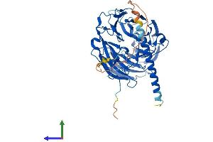 Protein Structure (PS) image for Coronin, Actin Binding Protein, 1B (CORO1B) (AA 1-489) protein (His tag) (ABIN7546729)