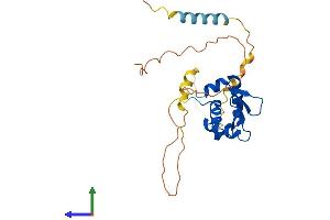 Protein Structure (PS) image for Spi-C Transcription Factor (Spi-1/PU.1 Related) (SPIC) (AA 1-248) protein (His tag) (ABIN7546384)
