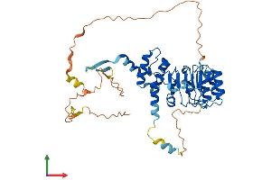 Protein Structure (PS) image for Leucine Rich Repeat Containing 42 (LRRC42) (AA 1-428) protein (His tag) (ABIN7549208)