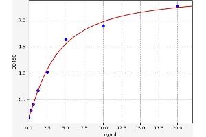 Typical standard curve (C1QTNF2 ELISA 试剂盒)