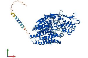 Protein Structure (PS) image for Folate Hydrolase (Prostate-Specific Membrane Antigen) 1 (FOLH1) (AA 1-750) protein (His tag) (ABIN7553951)