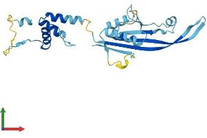 AlphaFold protein structure predicition of Mouse Recombinant Kctd11 Protein, UniprotID Q8K485