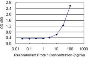 Sandwich ELISA detection sensitivity ranging from 3 ng/mL to 100 ng/mL. (TAGLN (人) Matched Antibody Pair)