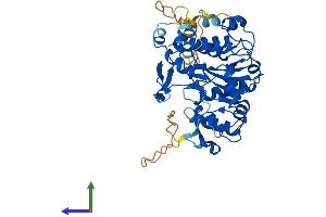 Protein Structure (PS) image for Glucosaminyl (N-Acetyl) Transferase Family Member 7 (GCNT7) (AA 1-430) protein (His tag) (ABIN7547890)