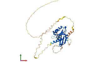 Protein Structure (PS) image for RAS (RAD and GEM)-Like GTP Binding 2 (REM2) (AA 1-341) protein (His tag) (ABIN7559914)