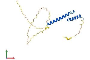 Protein Structure (PS) image for Achaete-Scute Complex Homolog 3 (ASCL3) (AA 1-174) protein (His tag) (ABIN7561601)