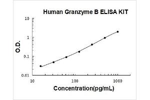 Granzyme B (GZMB) ELISA Kit
