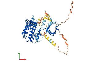 Protein Structure (PS) image for Calcium/calmodulin-Dependent Protein Kinase I (CAMK1) (AA 1-370) protein (His tag) (ABIN7554283)