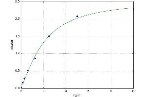 A typical standard curve (GSTP1 ELISA 试剂盒)