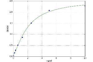 A typical standard curve