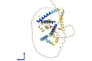 Protein Structure (PS) image for Zinc Finger Protein 821 (ZNF821) (AA 1-412) protein (His tag) (ABIN7545501)