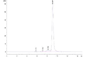 Size-exclusion chromatography-High Pressure Liquid Chromatography (SEC-HPLC) image for Fibrinogen-Like 2 (FGL2) (AA 205-439) protein (His-Avi Tag,DYKDDDDK Tag) (ABIN7274644)
