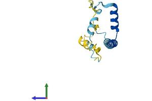 Protein Structure (PS) image for Lin-52 Homolog (LIN52) (AA 1-116) protein (His tag) (ABIN7549090)
