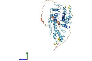 AlphaFold protein structure predicition of Human Recombinant ZNF730 Protein, UniprotID Q6ZMV8