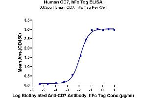 ELISA image for CD7 (CD7) (AA 26-180) protein (Fc Tag) (ABIN7274224)