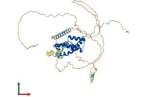 Protein Structure (PS) image for POU Class 3 Homeobox 2 (POU3F2) (AA 1-445) protein (His tag) (ABIN7563115)