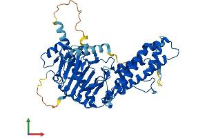 Protein Structure (PS) image for Fat Mass and Obesity-Associated (FTO) (AA 1-502) protein (His tag) (ABIN7564348)