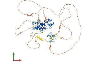 Protein Structure (PS) image for Male-Specific Lethal 2 Homolog (MSL2) (AA 1-577) protein (His tag) (ABIN7554620)