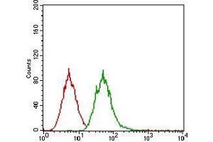 Flow cytometric analysis of A431 cells using EGFR mouse mAb (green) and negative control (red). (EGFR 抗体  (AA 693-893))