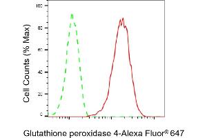 Flow cytometric analysis of Glutathione peroxidase 4 expression in HAP-1 cells using Glutathione peroxidase 4 antibody (ABIN7798753), 1:2,000). (Recombinant GPX4 抗体)