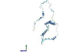 Protein Structure (PS) image for Enkurin, TRPC Channel Interacting Protein (ENKUR) (AA 1-256) protein (His tag) (ABIN7547390)