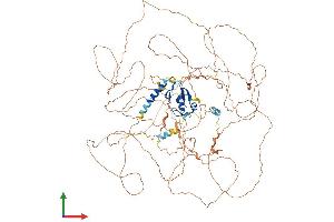 Protein Structure (PS) image for Ring Finger Protein 111 (RNF111) (AA 1-989) protein (His tag) (ABIN7564901)