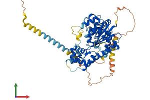 Protein Structure (PS) image for Carbohydrate (Chondroitin 6) Sulfotransferase 3 (CHST3) (AA 1-472) protein (His tag) (ABIN7562587)