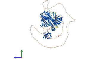 AlphaFold protein structure predicition of Mouse Recombinant Arhgap42 Protein, UniprotID B2RQE8